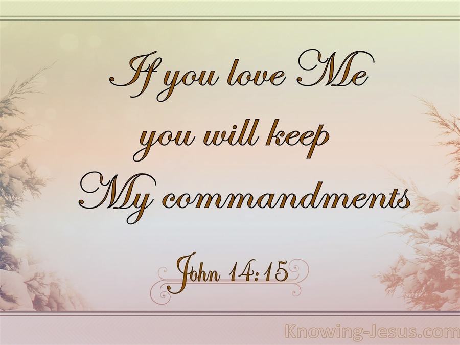 John 14:15 In You Love Me Keep My Commandments (pink)